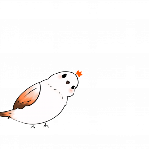 Offre Mensuelle – Paiement étalé[N4]